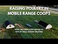 Thumbnail for Raising Thousands of Chickens on Pasture in Mobile Range Coops