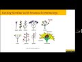 Thumbnail for Winter Plant Identification for Pollinator Habitat